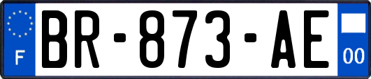 BR-873-AE