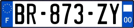 BR-873-ZY