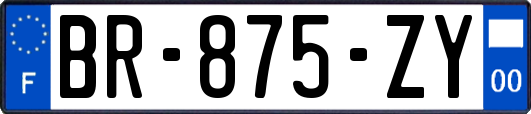 BR-875-ZY