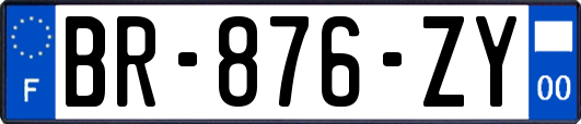 BR-876-ZY