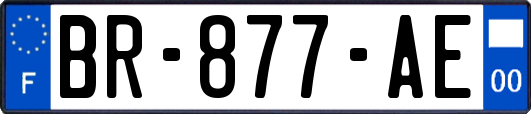 BR-877-AE