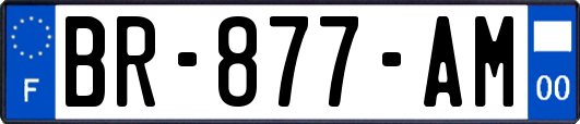 BR-877-AM