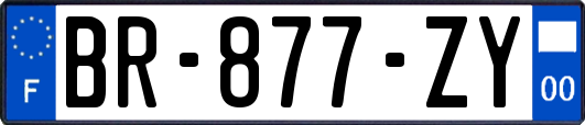 BR-877-ZY