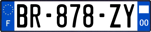 BR-878-ZY