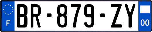 BR-879-ZY