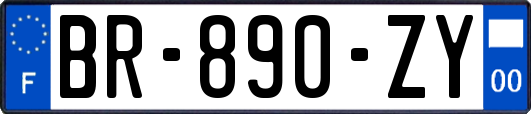 BR-890-ZY