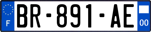 BR-891-AE