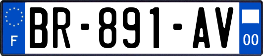 BR-891-AV
