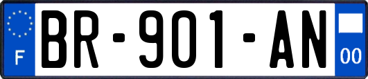 BR-901-AN