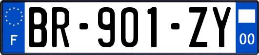 BR-901-ZY