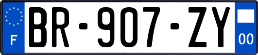 BR-907-ZY
