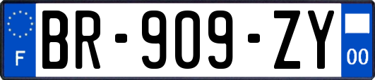 BR-909-ZY