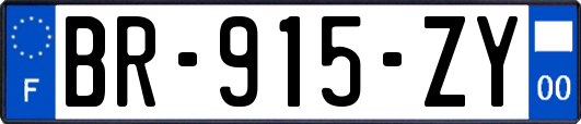 BR-915-ZY