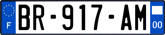 BR-917-AM