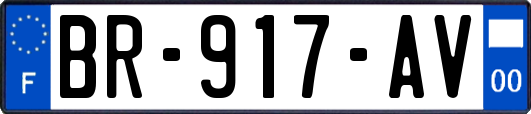 BR-917-AV
