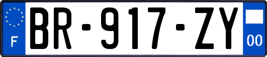 BR-917-ZY