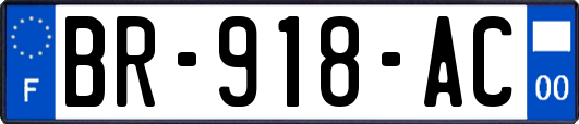BR-918-AC