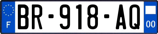 BR-918-AQ