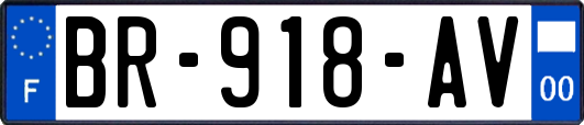 BR-918-AV