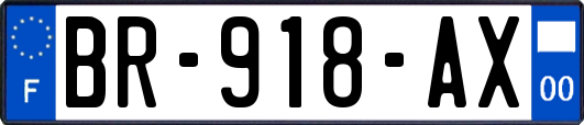 BR-918-AX