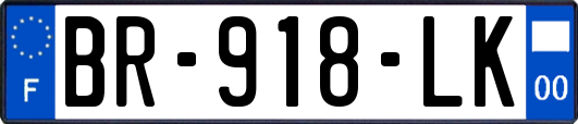 BR-918-LK