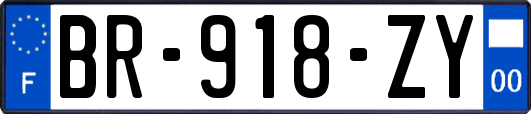 BR-918-ZY
