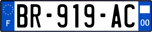 BR-919-AC