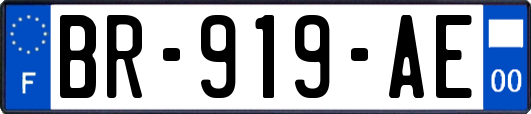 BR-919-AE