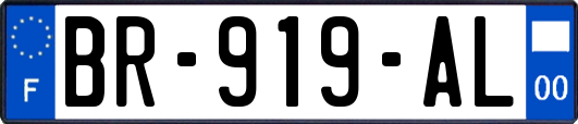 BR-919-AL
