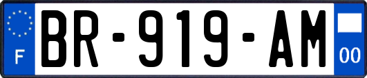 BR-919-AM