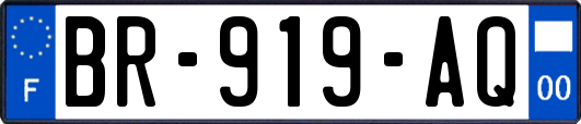 BR-919-AQ