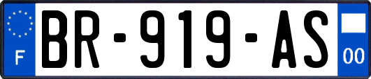 BR-919-AS