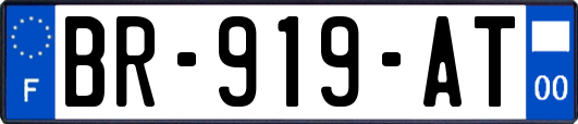 BR-919-AT
