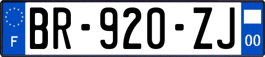 BR-920-ZJ