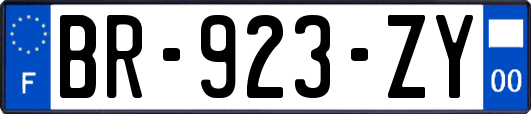 BR-923-ZY