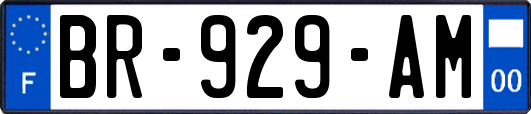 BR-929-AM
