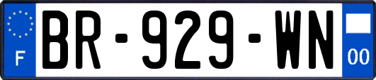 BR-929-WN