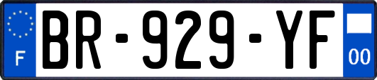 BR-929-YF