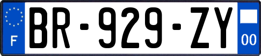 BR-929-ZY