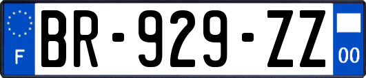 BR-929-ZZ