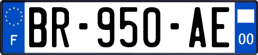 BR-950-AE