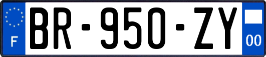 BR-950-ZY