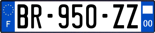 BR-950-ZZ