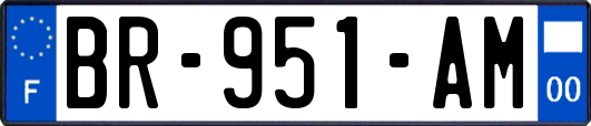 BR-951-AM