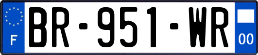 BR-951-WR