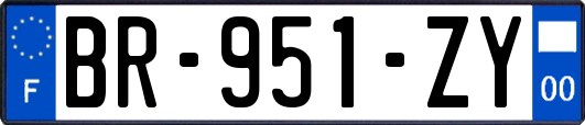 BR-951-ZY