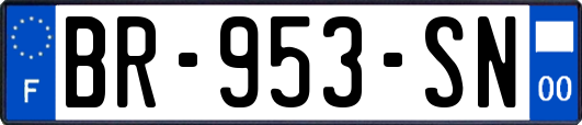 BR-953-SN