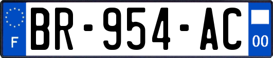 BR-954-AC