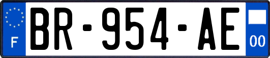 BR-954-AE