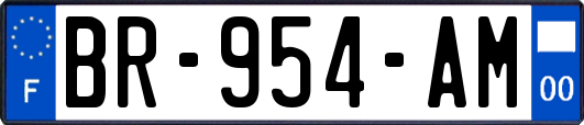 BR-954-AM